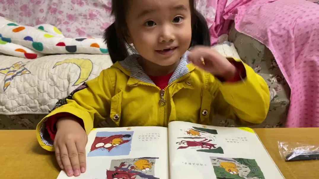 聪明的小鸡