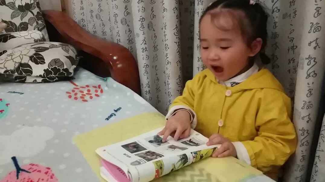 哺乳动物