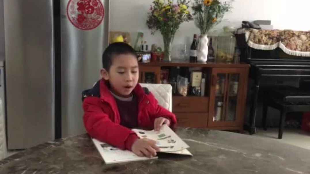 一起来书写5