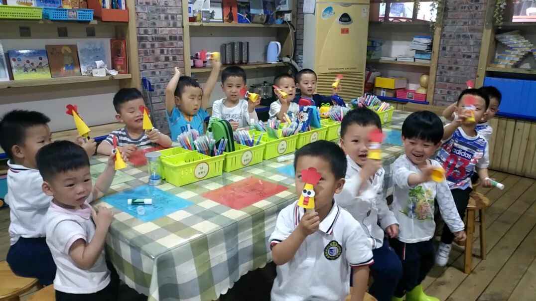可爱的小鸡