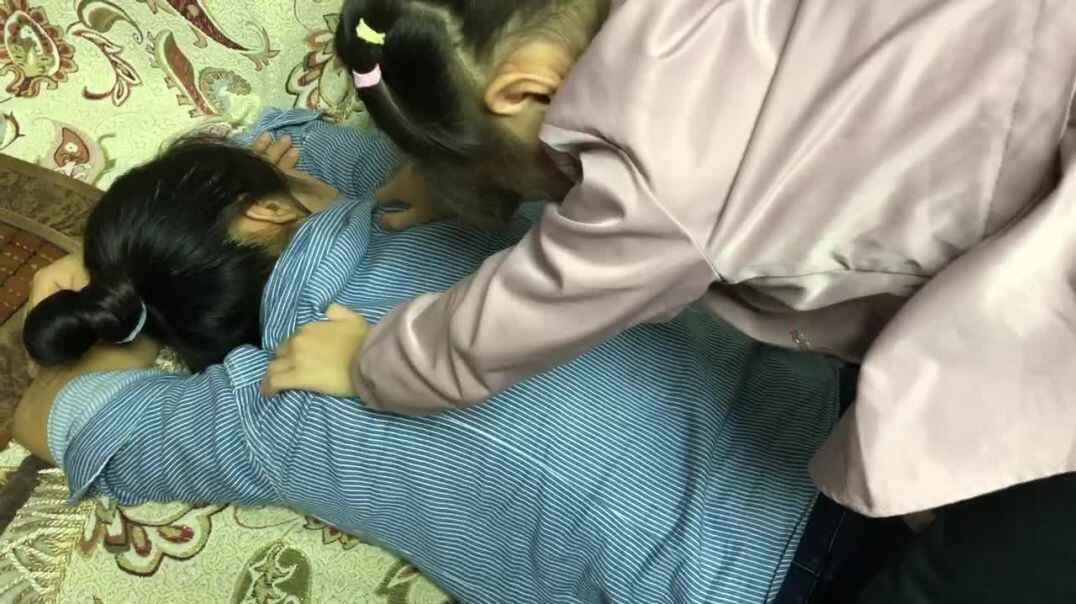关心家人的波妞
