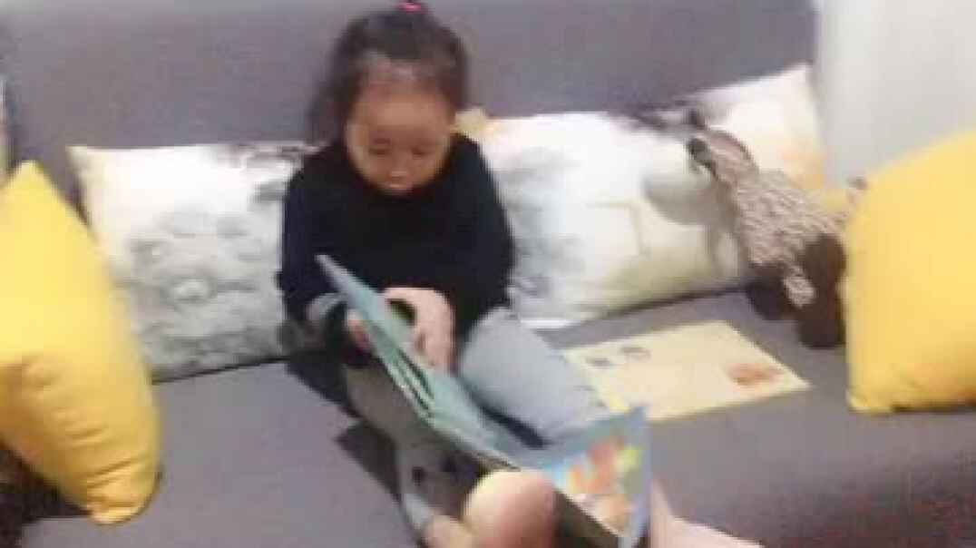 张睿瑾分享喜欢的毛驴玩偶