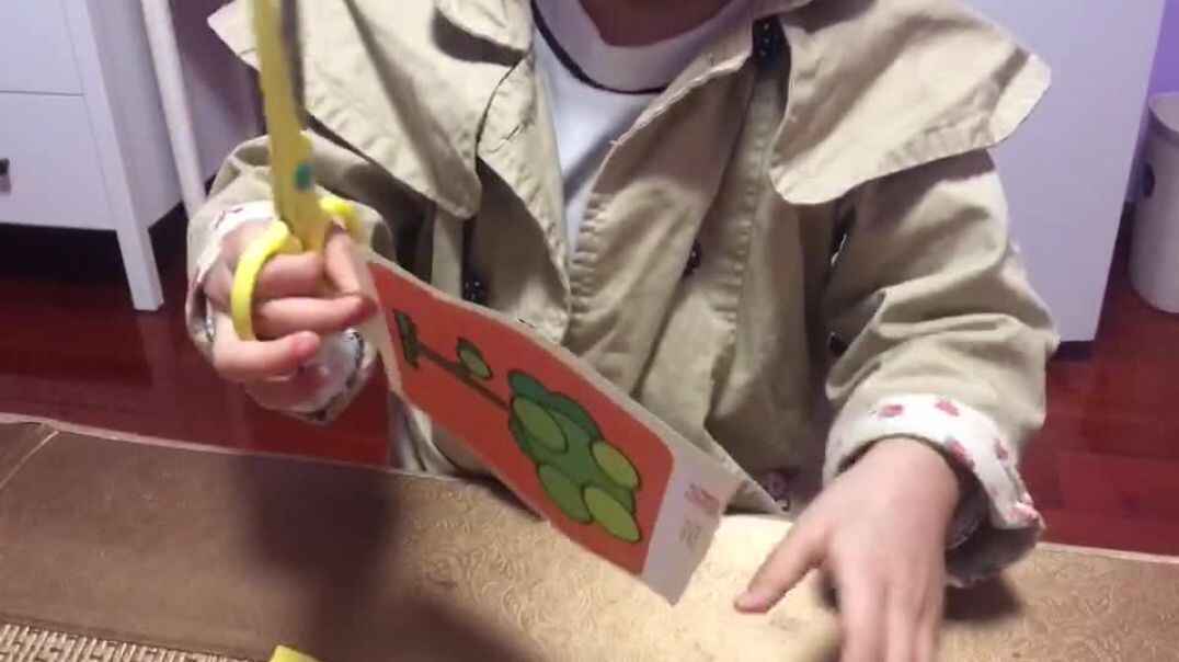 剪刀还可以剪什么