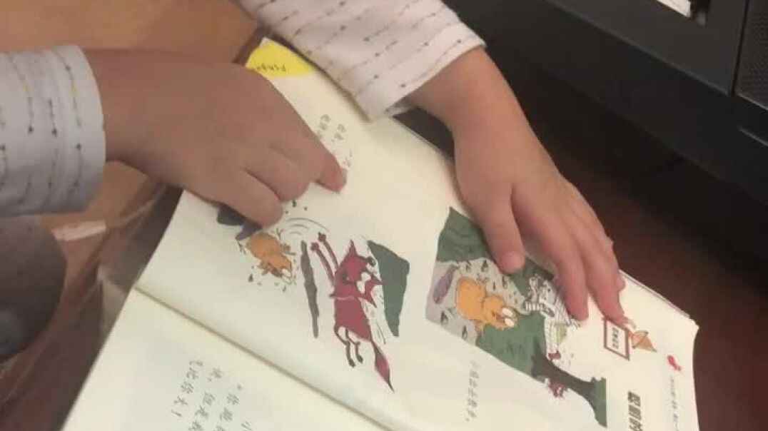 聪明的小鸡