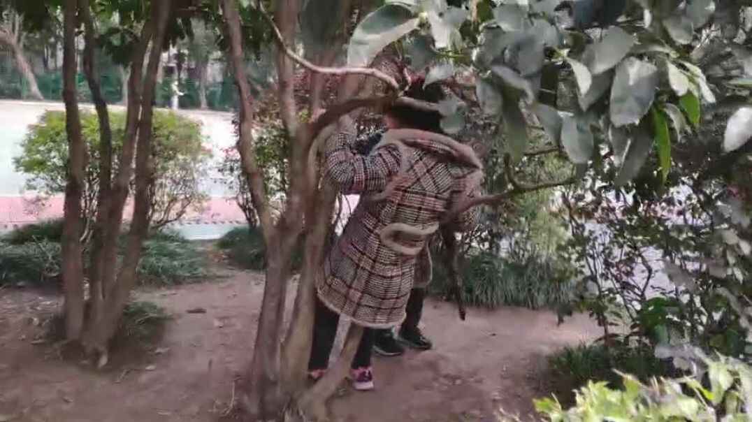 户外游戏（1）