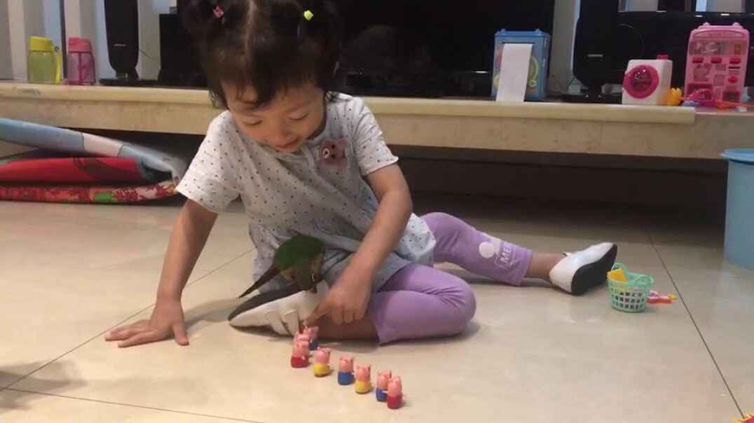 看我数数