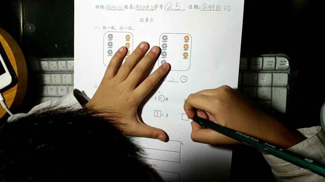数学作业单
