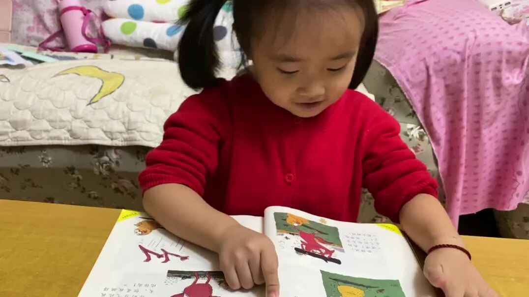 聪明的小鸡