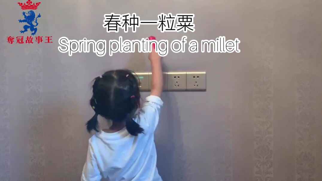春种一粒栗