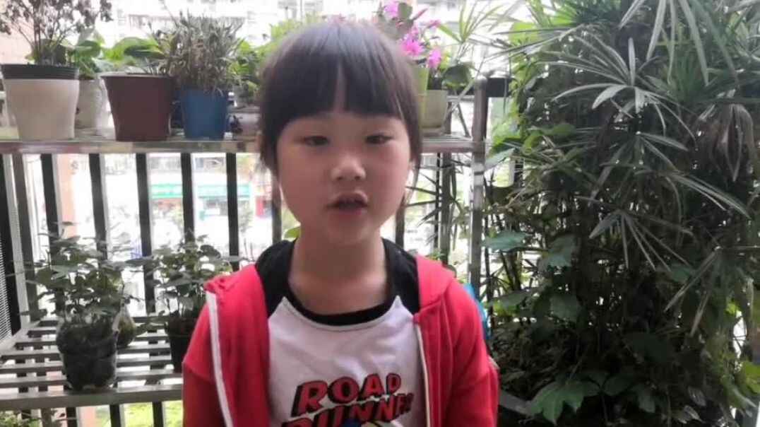 可爱的我