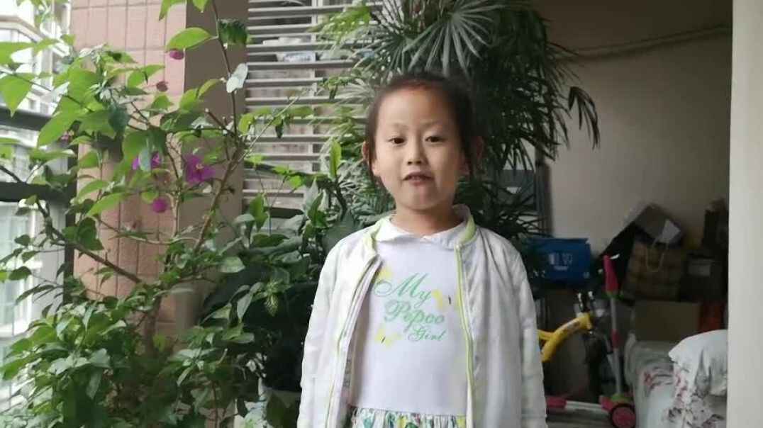 萌娃表演