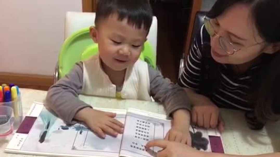 复习古诗《子夜吴歌夏歌》.MOV