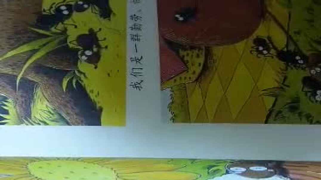 小蚂蚁