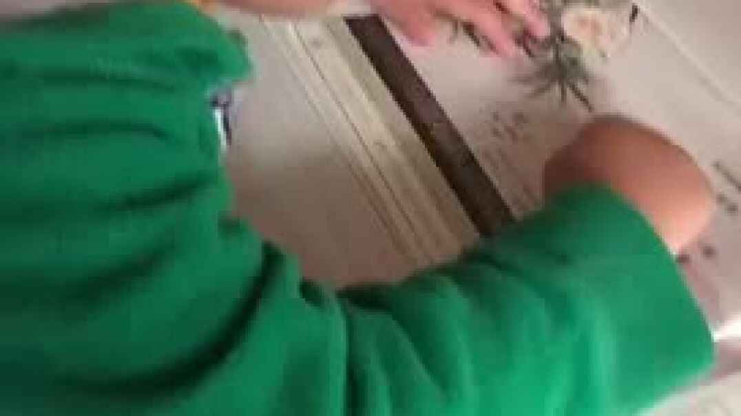 2019年10月25日实验中班29号家庭作业