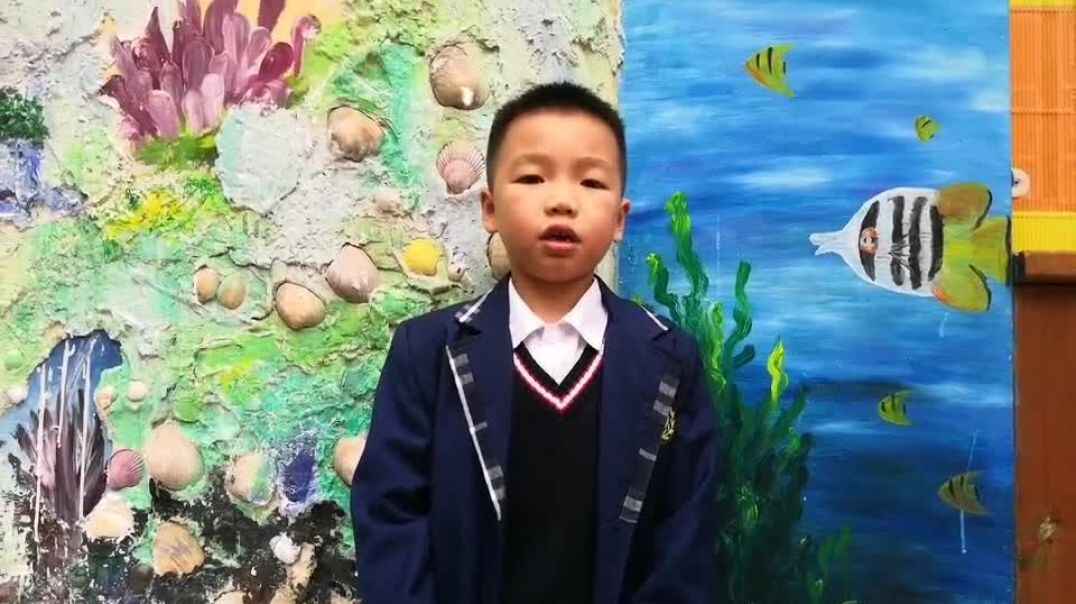 我的快乐生活9