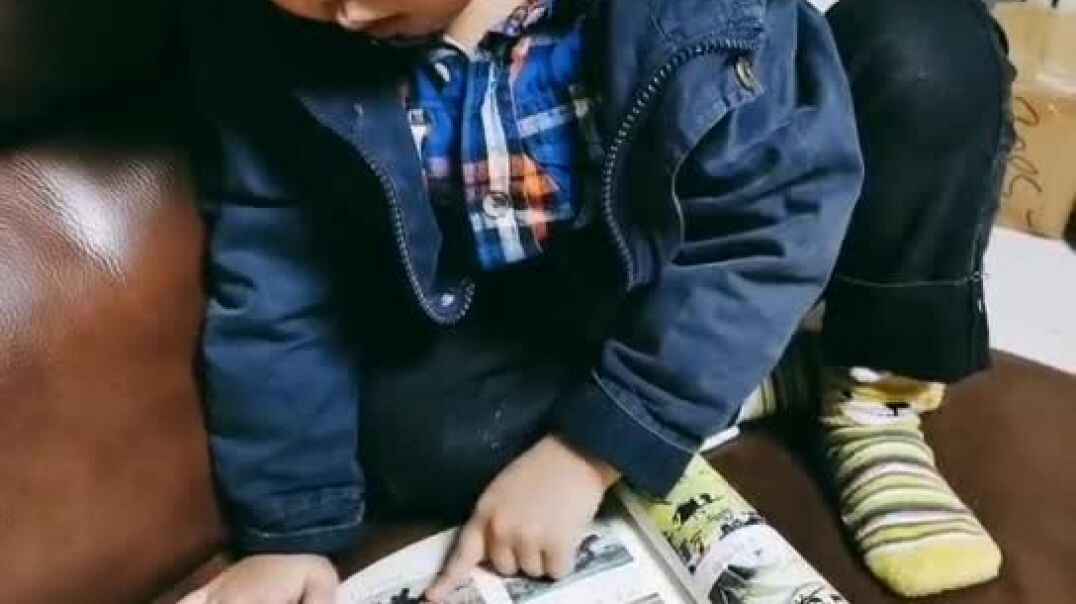 2019-10-29 《哺乳动物》