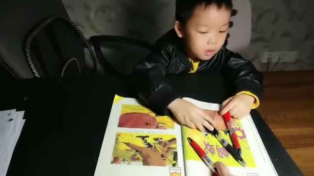 《小蚂蚁》.mp4