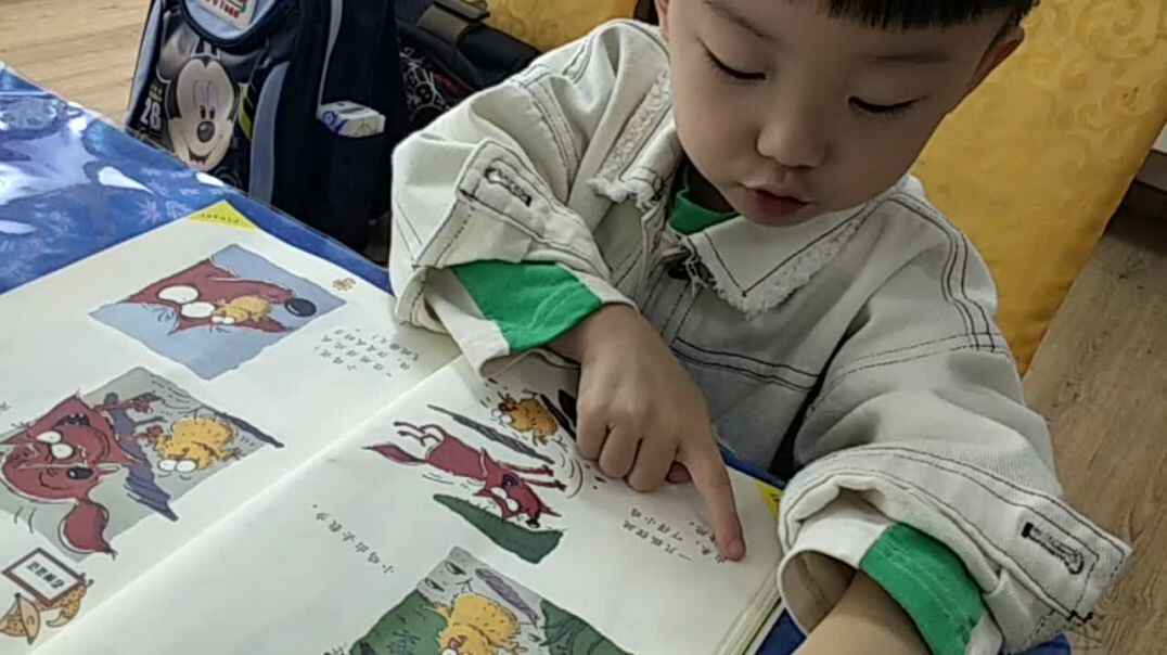 聪明的小鸡