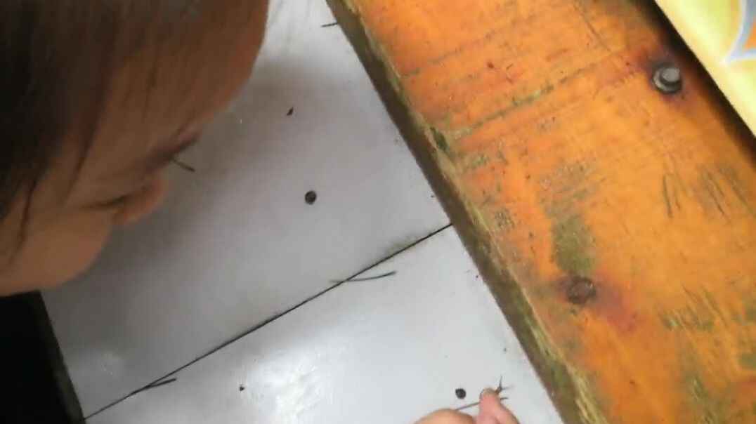 观察小蜗牛