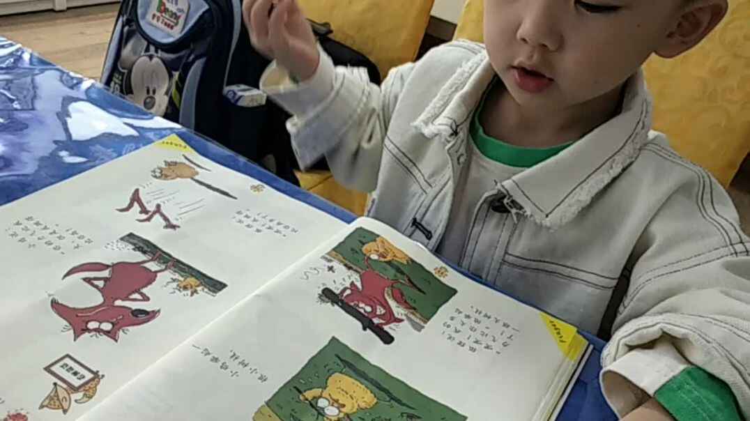 聪明的小鸡