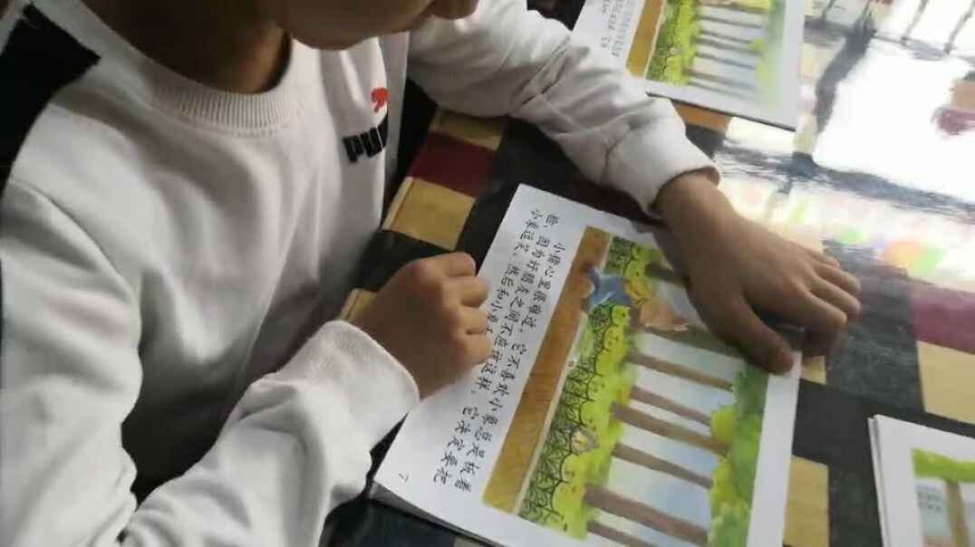 我的指读
