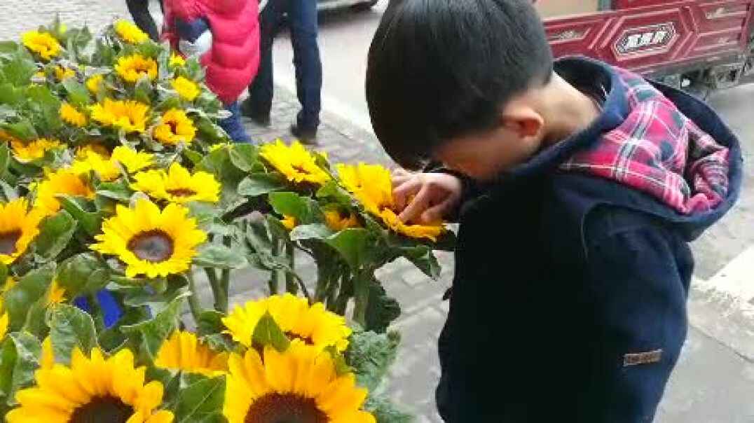 爱学习的宝贝7