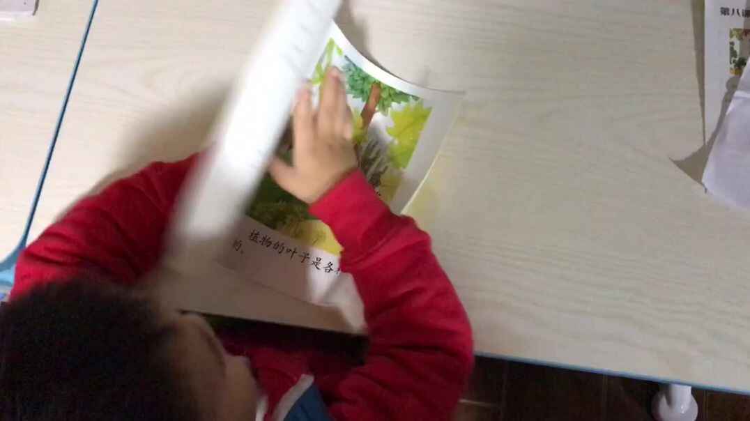 2019年11月6日实验中班29号家庭作业