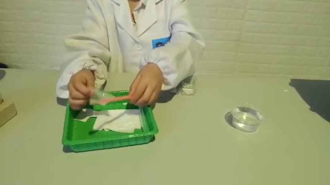 凝水成冰