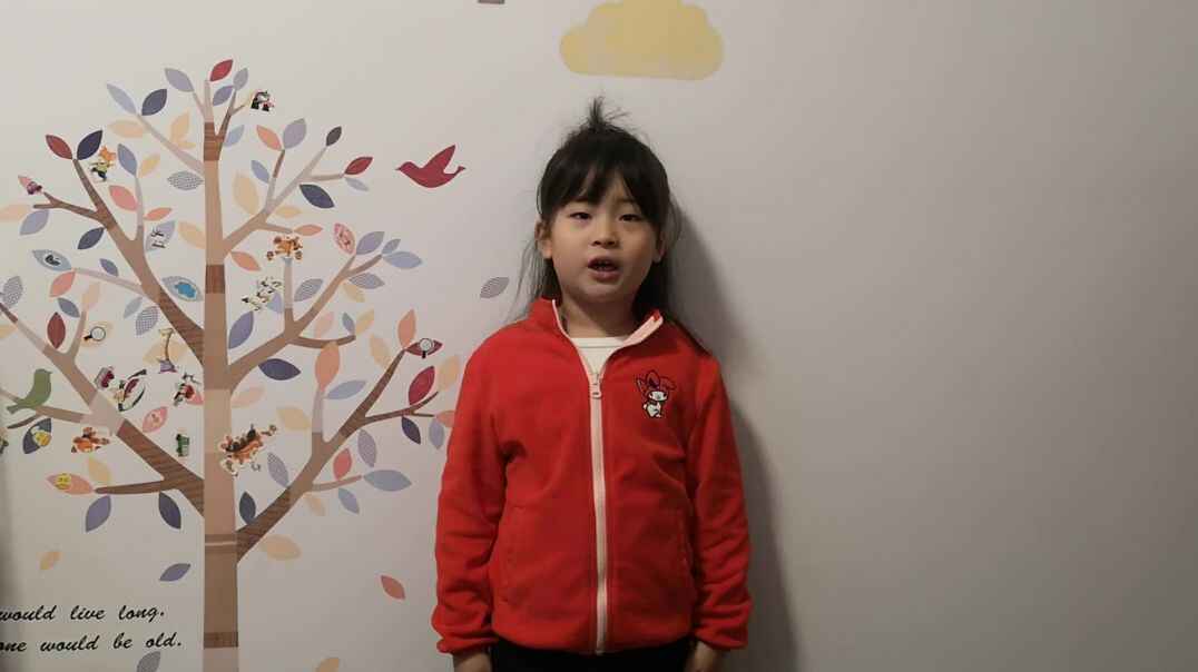 VID_20191110_082542.mp4