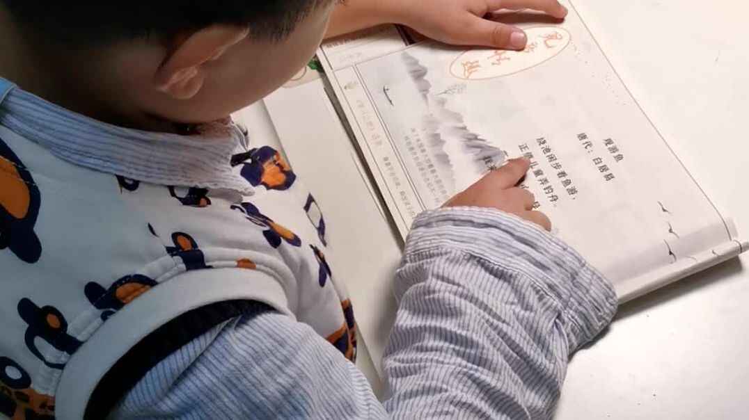 11月14日家庭作业