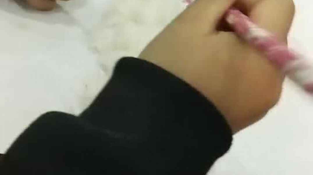 小猴子的故事9