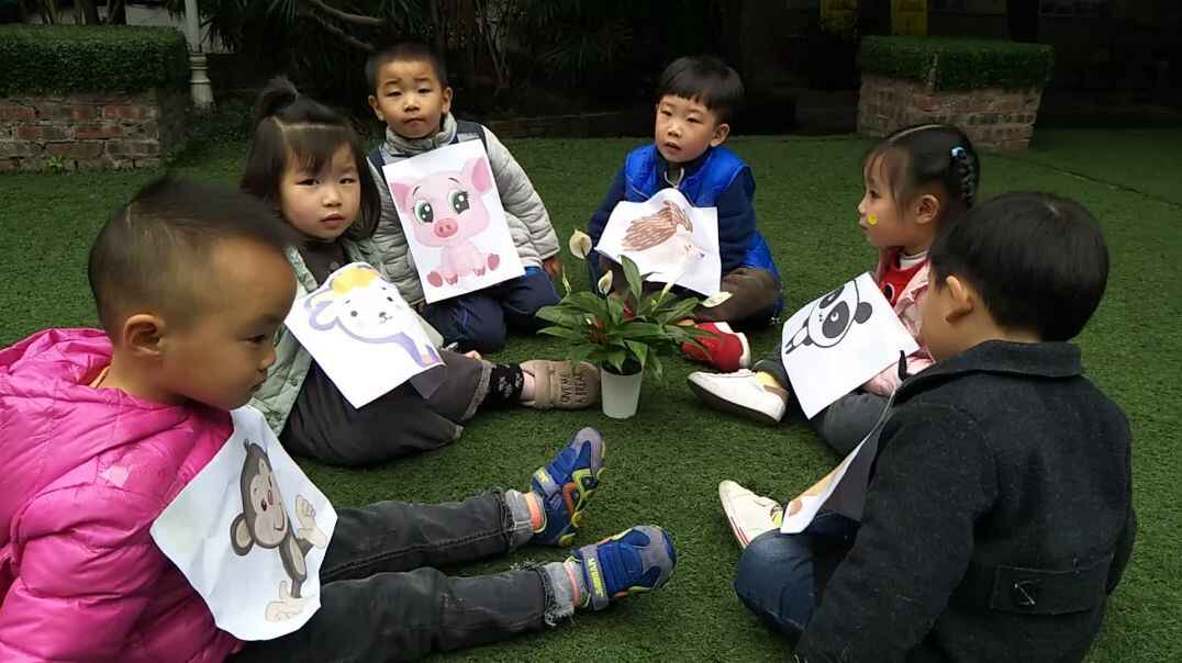 马蹄莲开花了 (1)