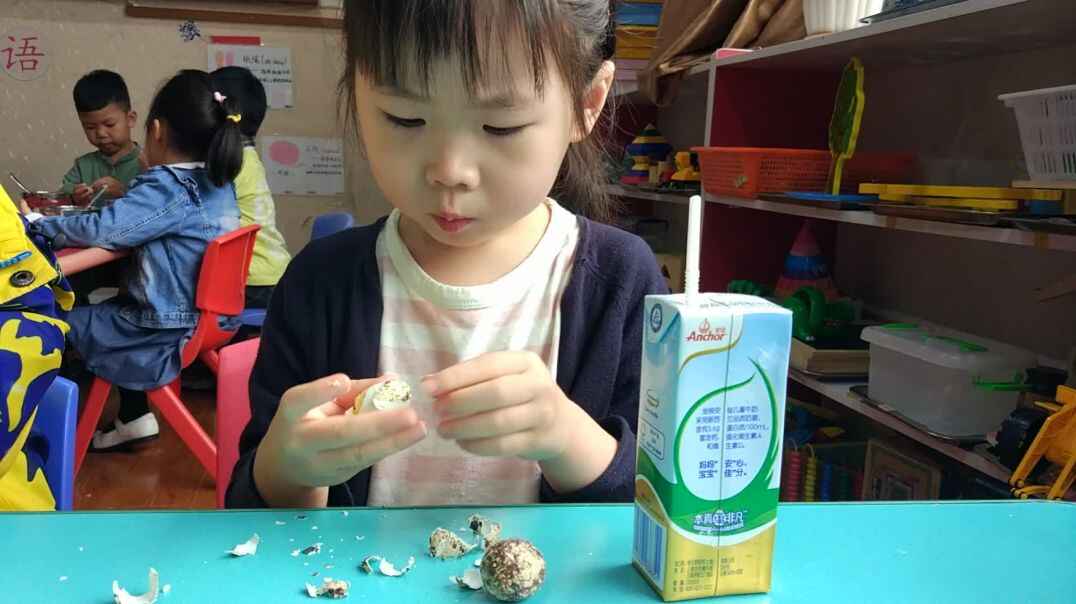 幼儿游戏2