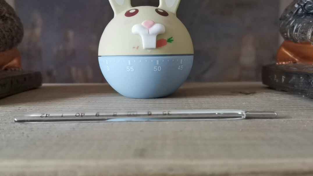 日常认知4