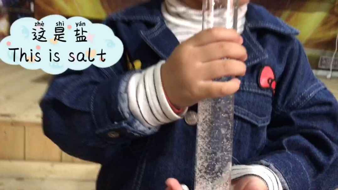 《奇妙的水》知识点