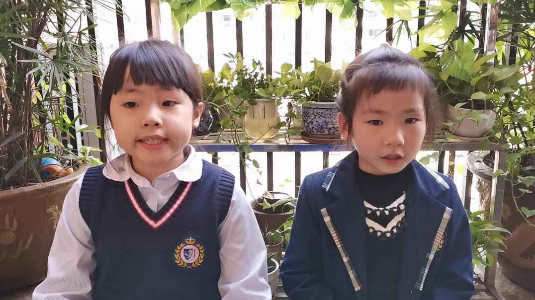 认知课程--表达能力2