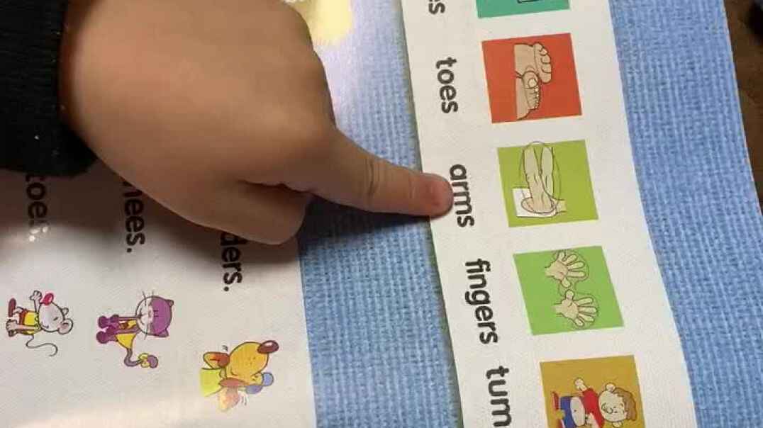 2019.11.04实验中班15号家庭作业反馈