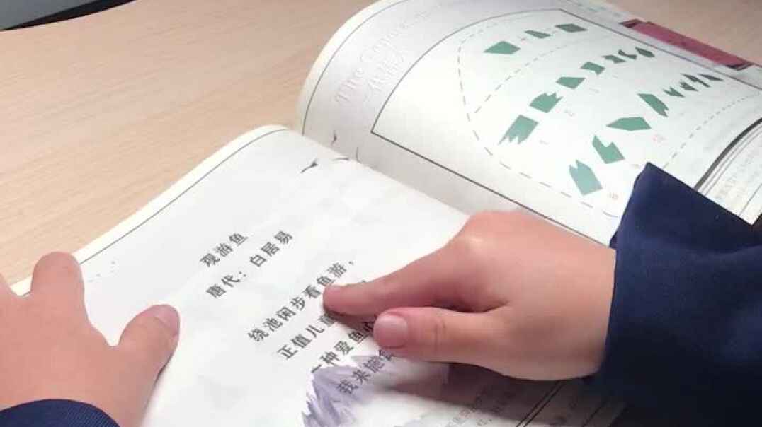 实验2班张桐安11.14作业