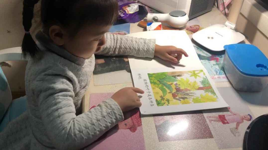 实验中班11月6日家庭作业18号