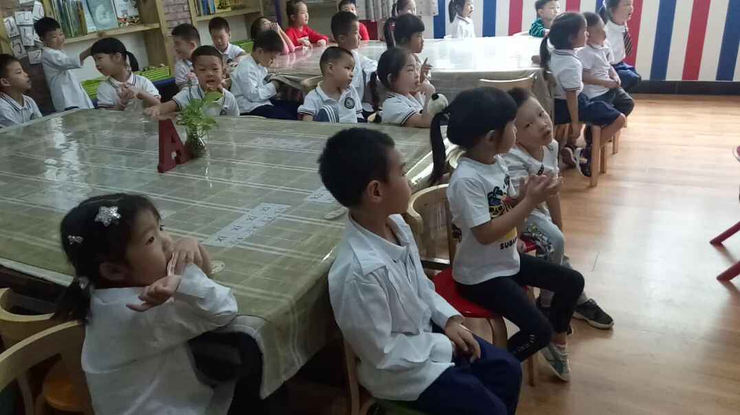我的学习