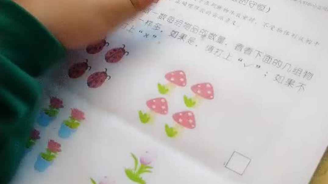 判断对错——杨谨帆