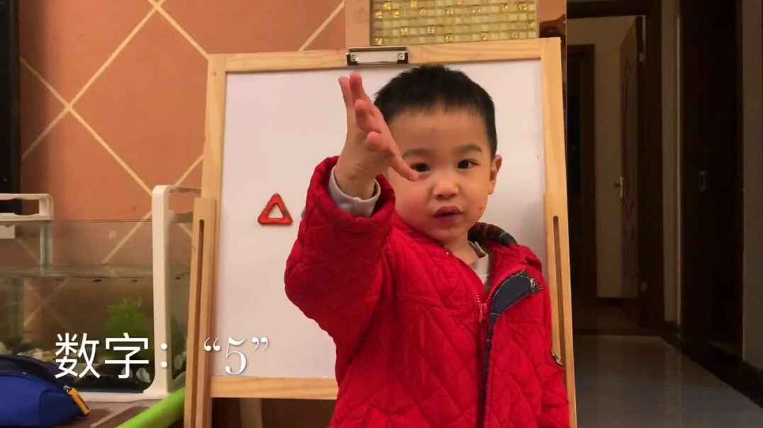 小A班—《数字“5”》—赵翌宸