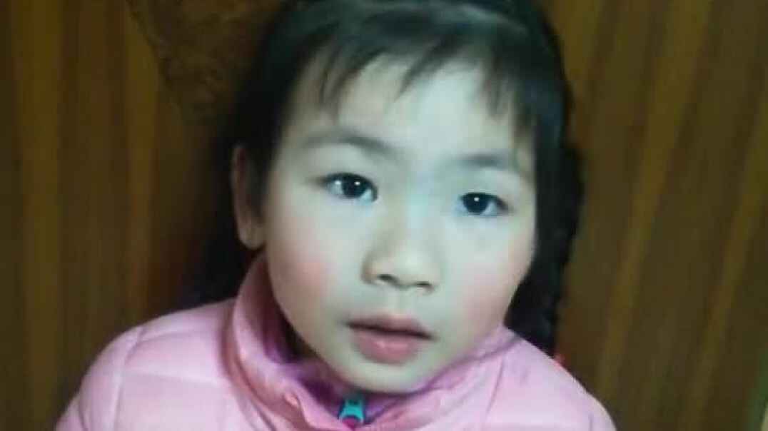 毛毛小可爱1