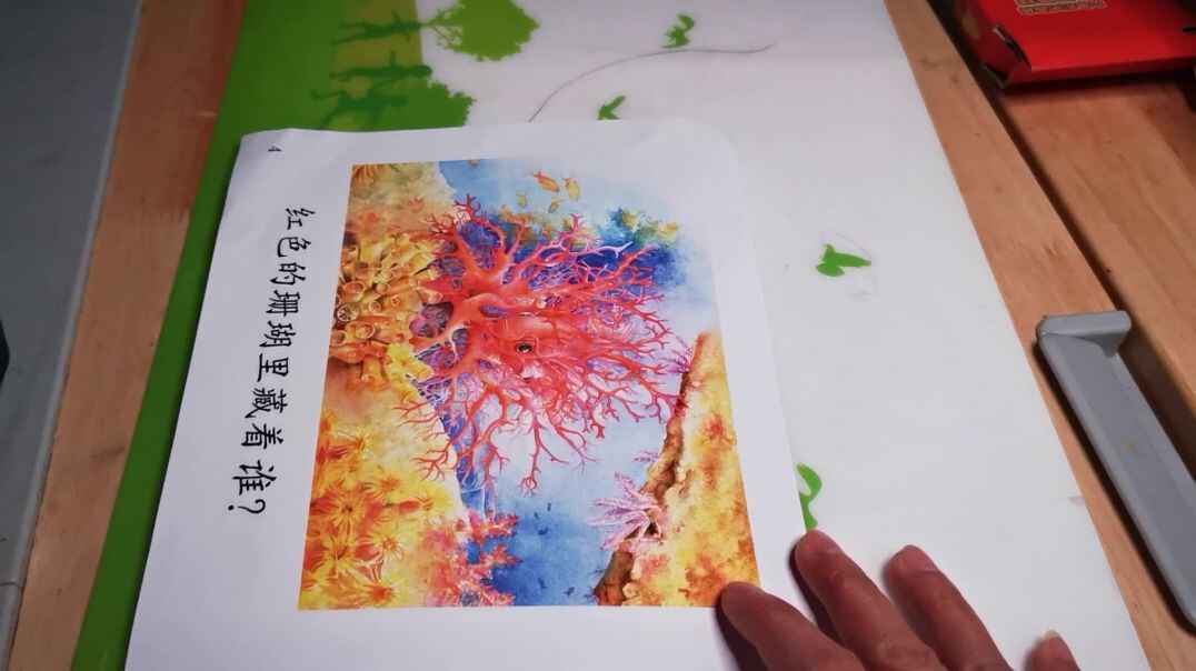 2019.11.20实验中班17号
