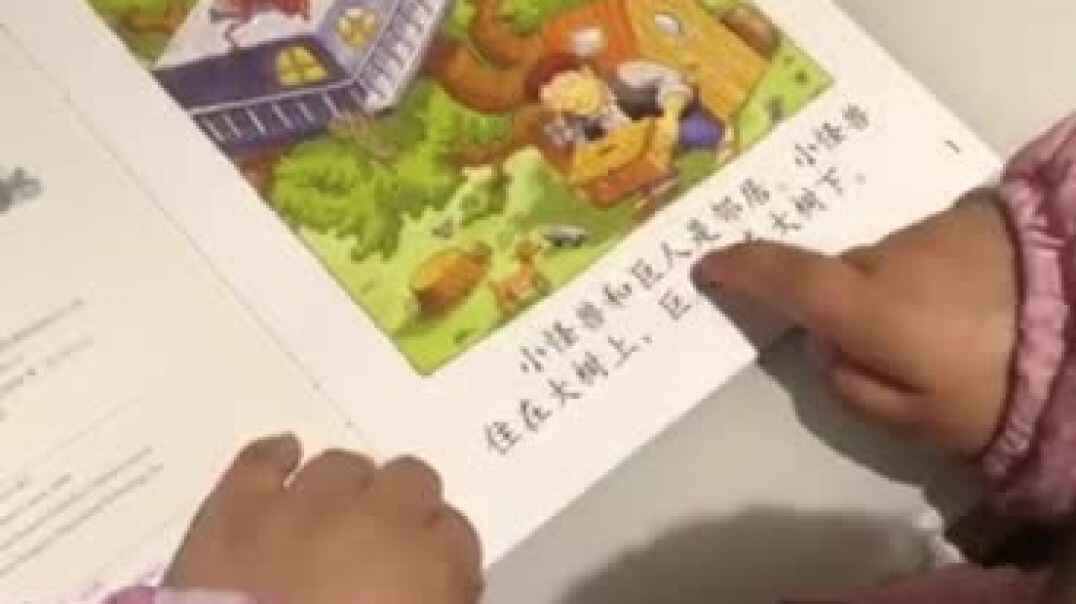 彬彬乐多多5