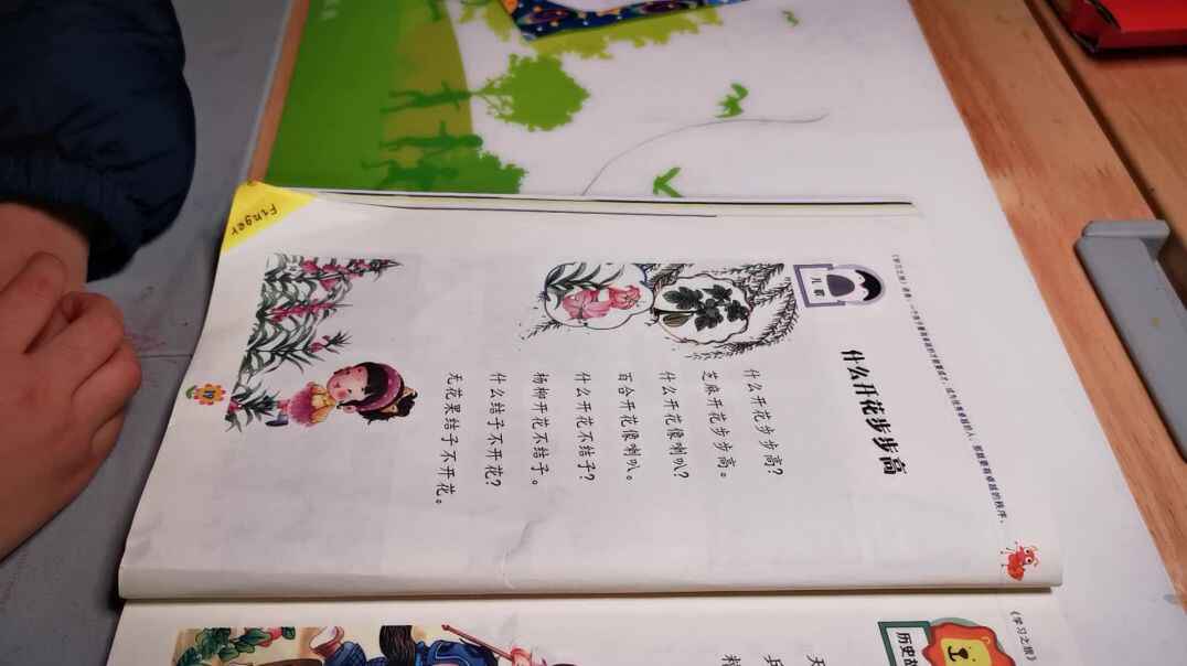 2019.11.19实验中班17号