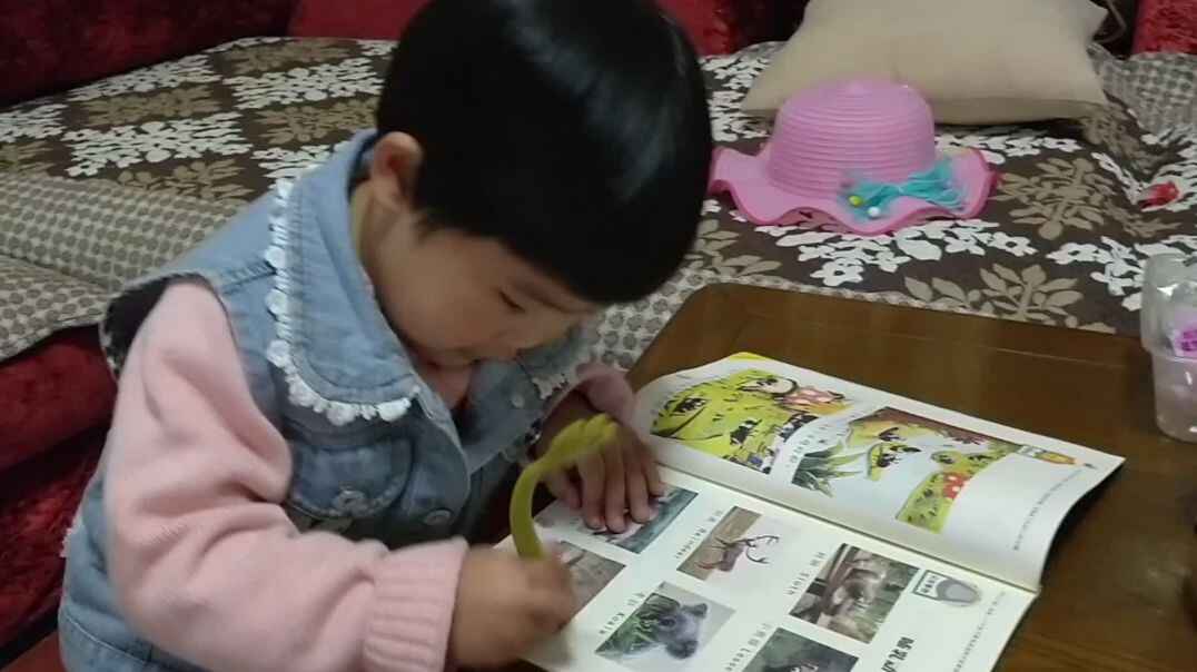 VID_20191105_202538.mp4