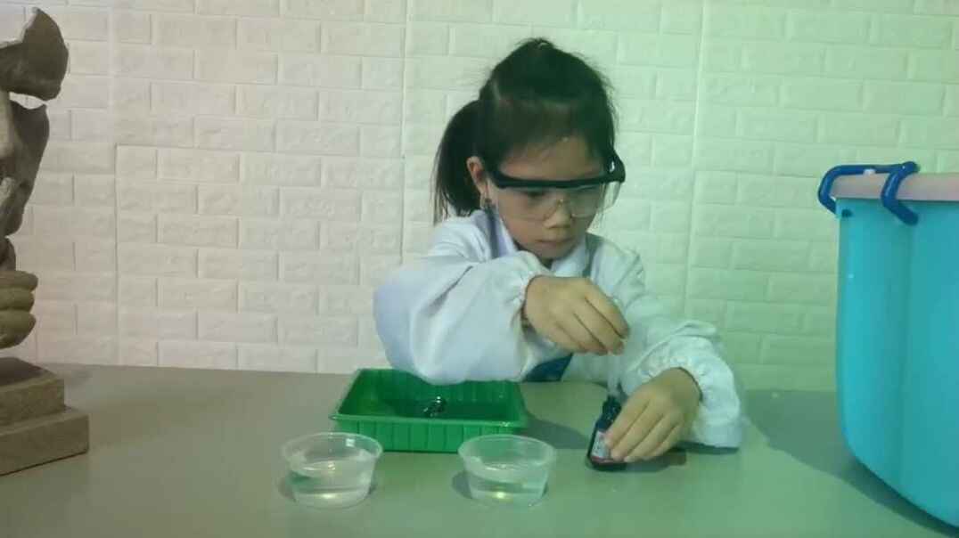 科学是点燃大脑的火把！