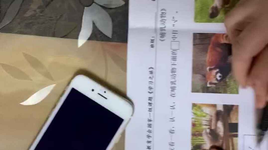 2019.11.12实验中班15号家庭作业反馈