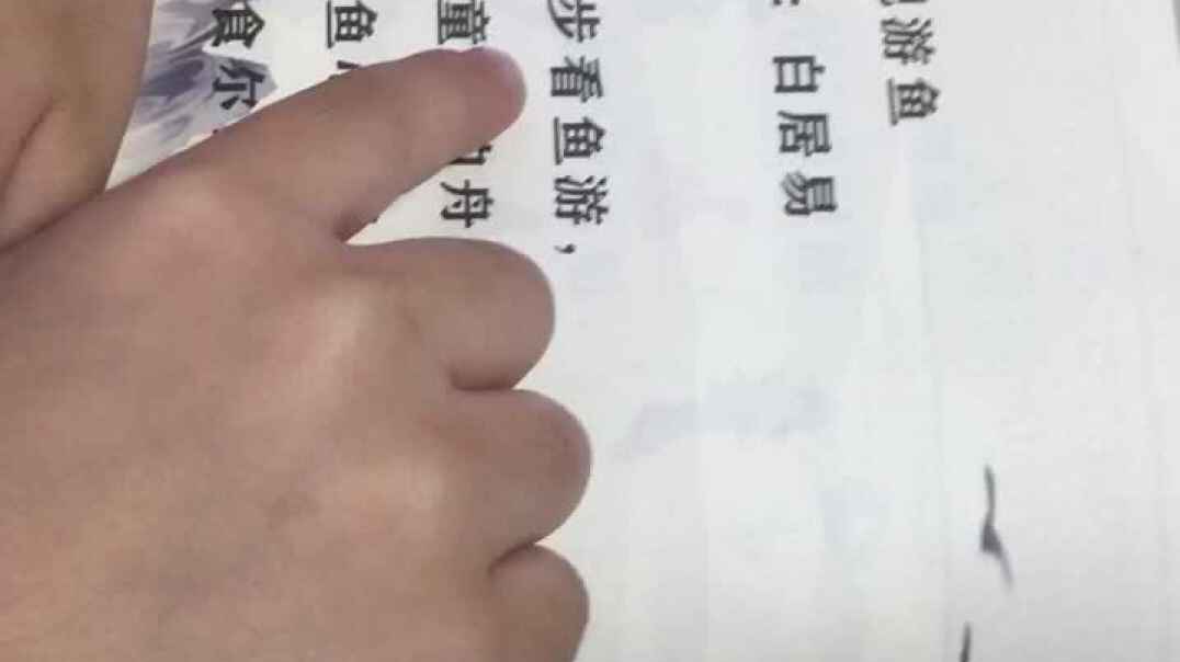11月14日